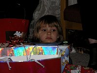 2006Xmas061.jpg
