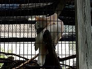2002072502Zoo01.jpg
