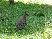 2002072502Zoo08.jpg
