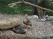 2002072502Zoo10.jpg