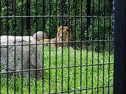 2002072502Zoo31.jpg