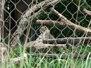 2002072502Zoo32.jpg