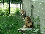 2002072502Zoo34.jpg