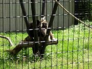 2002072502Zoo36.jpg