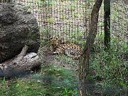 2002072502Zoo40.jpg