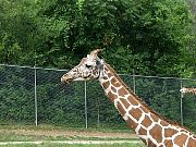 2002072502Zoo41.jpg