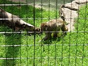2002072502Zoo47.jpg