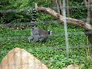 2002072502Zoo58.jpg