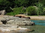 2002072502Zoo60.jpg