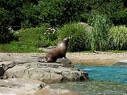 2002072502Zoo63.jpg