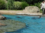 2002072502Zoo64.jpg