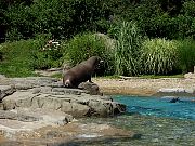 2002072502Zoo65.jpg