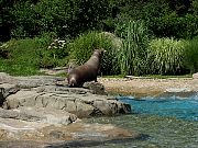 2002072502Zoo66.jpg