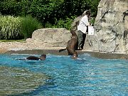 2002072502Zoo67.jpg