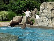 2002072502Zoo68.jpg