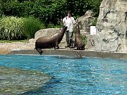 2002072502Zoo69.jpg
