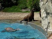 2002072502Zoo70.jpg