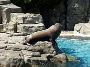 2002072502Zoo74.jpg