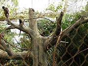 2002072502Zoo83.jpg