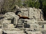 20030417ZooSstreet039.jpg