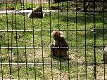 20030417ZooSstreet042.jpg
