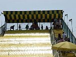 2003StateFair045.jpg