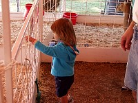 2004AugIAStateFair40.jpg