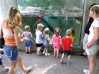 2005July8Zoo17.jpg
