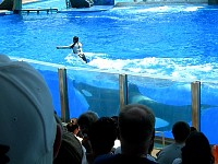 2006MayFlorida068.jpg