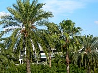 2006MayFlorida219.jpg