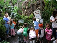 200710MayDMZoo014.jpg