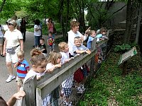 200710MayDMZoo056.jpg