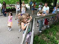200710MayDMZoo057.jpg
