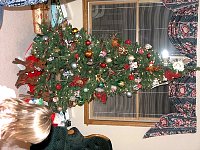 2007Xmas36.jpg