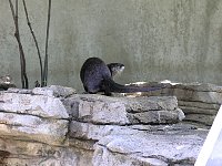 2009May21Zoo007.jpg