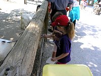 2009May21Zoo016.jpg