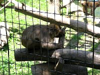 2009May21Zoo045.jpg