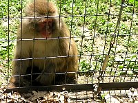 2009May21Zoo050.jpg