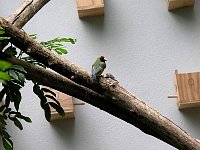 2009May21Zoo063.jpg