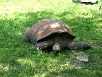 2009May21Zoo072.jpg