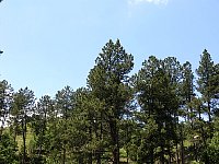 2009JulySD0170.jpg
