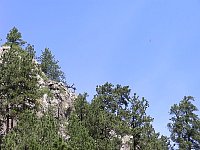 2009JulySD0454.jpg