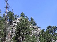 2009JulySD0455.jpg