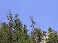 2009JulySD0456.jpg