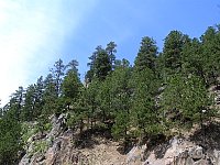 2009JulySD0459.jpg