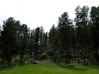 2009JulySD0504.jpg