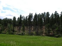 2009JulySD0505.jpg