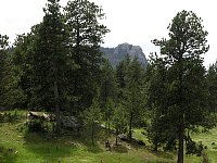 2009JulySD0530.jpg