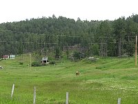 2009JulySD0540.jpg