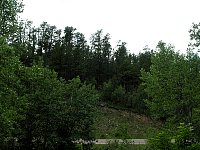 2009JulySD0564.jpg